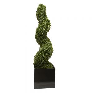 Boxwood Spiral 1.2m With Fibreglass Pot