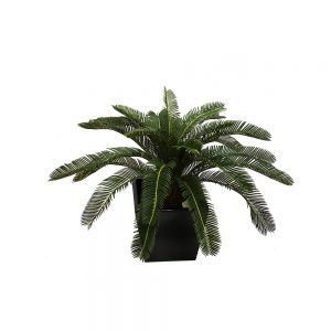 Cycad Plant 60cm UV Stabilised with Decorative Fibreglass Pot