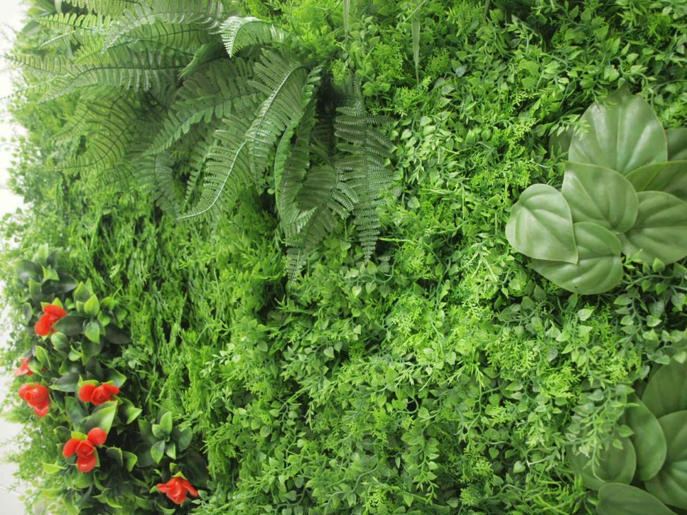 Tropical Fern Mix Vertical Garden 1x1m Uv Stabilised - Image 2