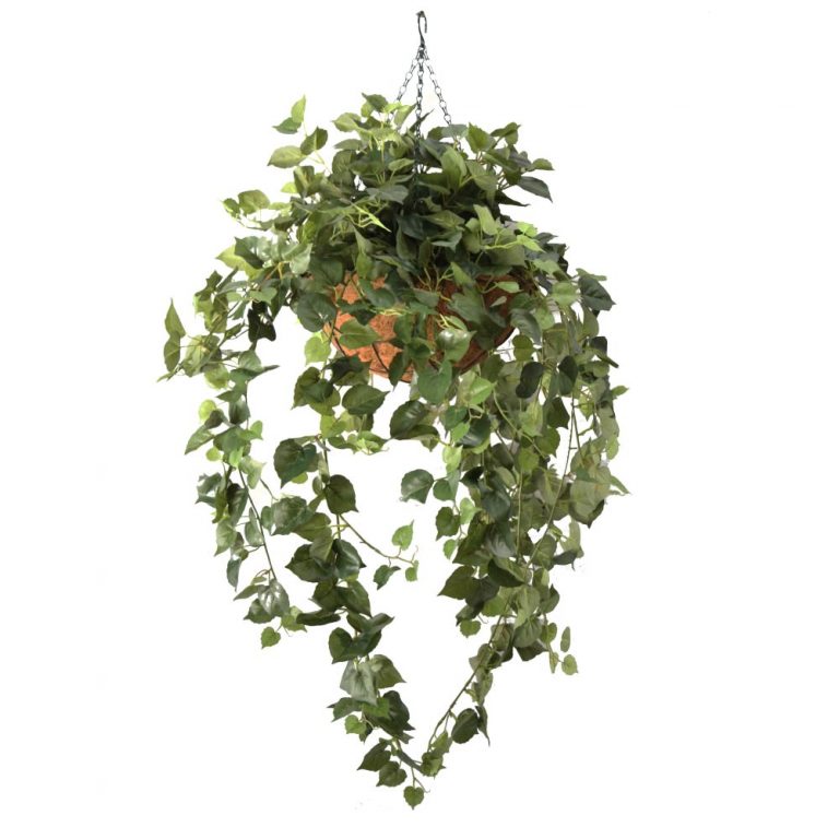 Greenery Imports New Zealand's Largest Importer of Artificial Plants