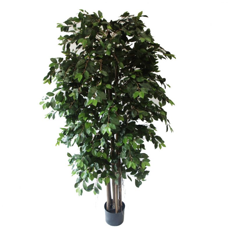 ARTIFICIAL FICUS TREES