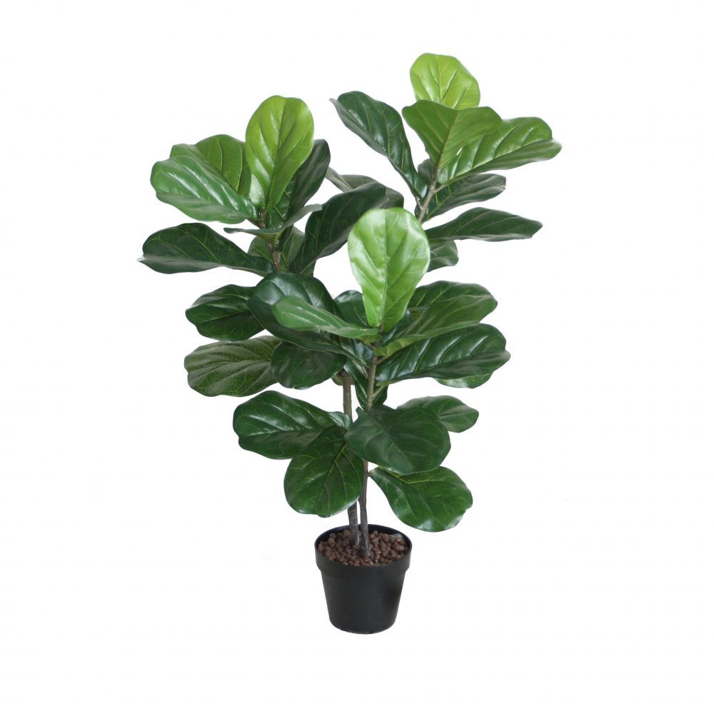 Fiddle Leaf Fig 1m Tree with Real Touch Leaves