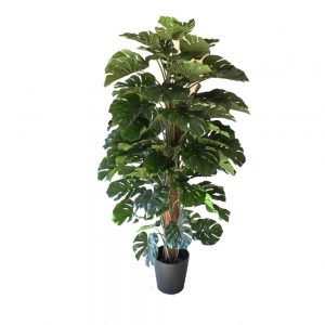 Monstera Totem 1.8m