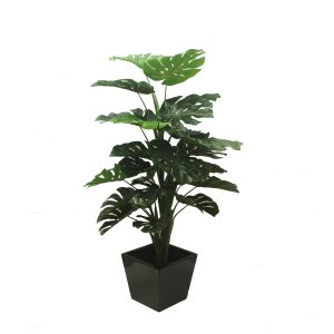 Monstera Plant 1.2m With Fibreglass Pot