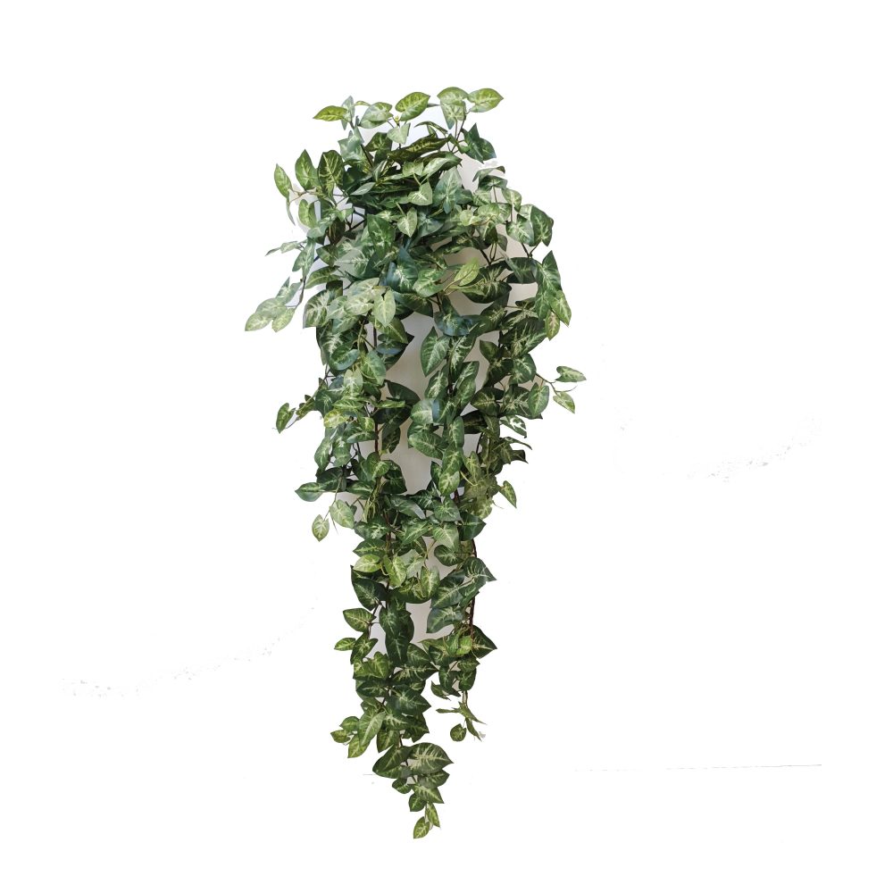 Puff Synonium Hanging Vine 100cm