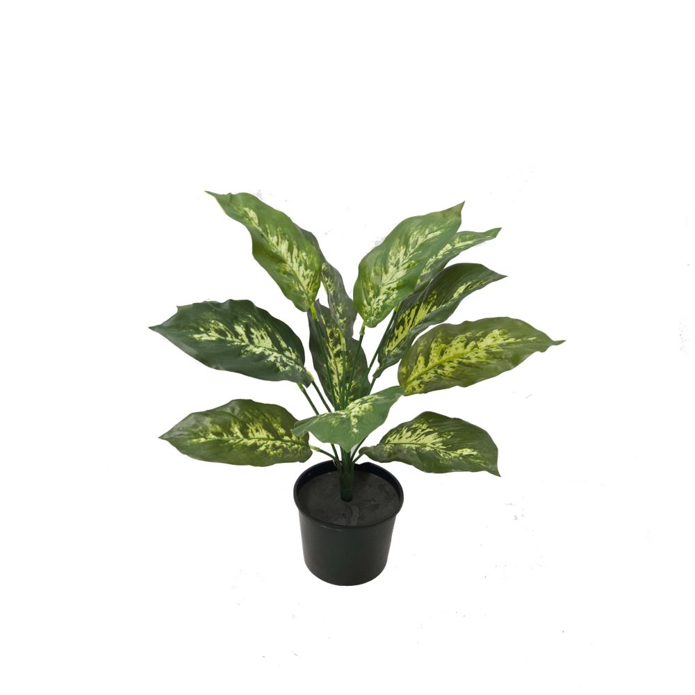 Artificial Dieffenbachia Bush 40cm Potted