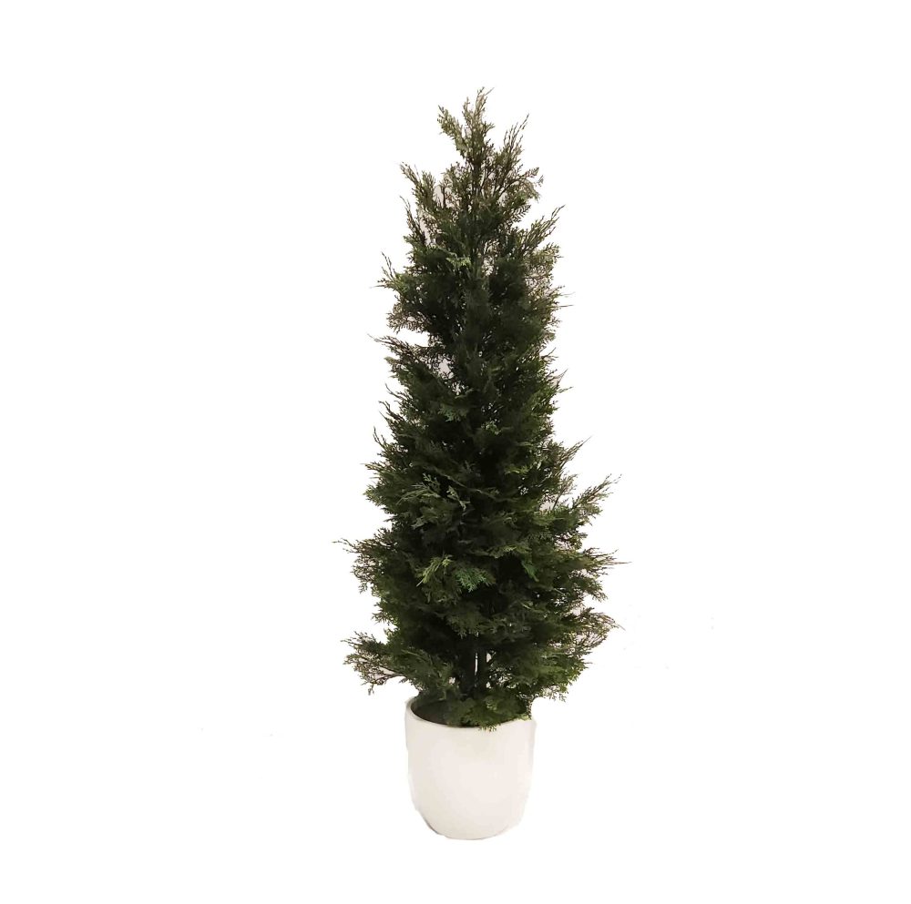 Artificial Cypress Tree UV Stabilised 1.5m with White Fiberglass Pot