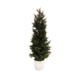 Artificial Cypress Tree UV Stabilised 1.5m with White Fiberglass Pot