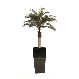 Phoenix Palm UV Stabilised with Fiberglass Pot