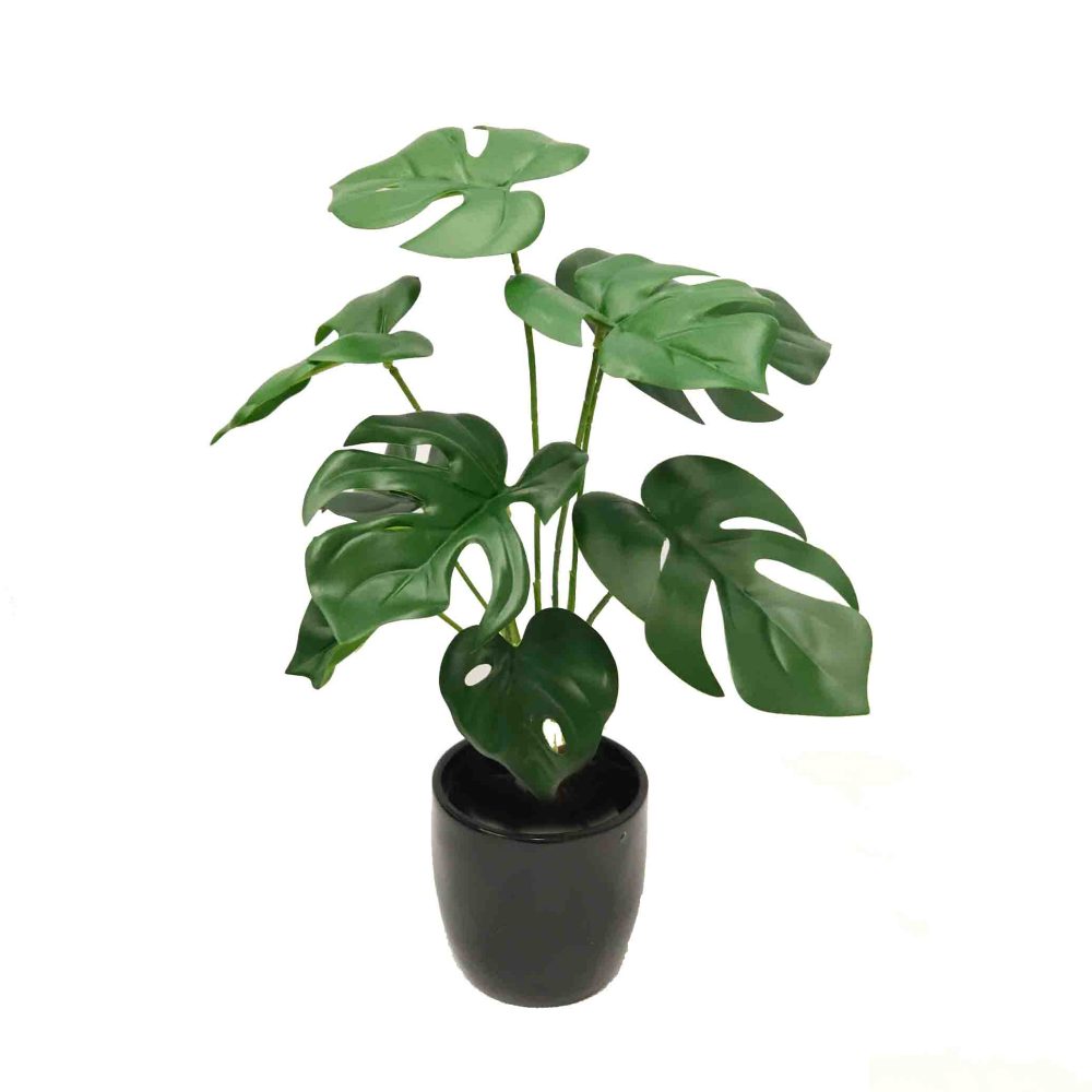 40cm Monstera Bush complete in Fibreglass Pot