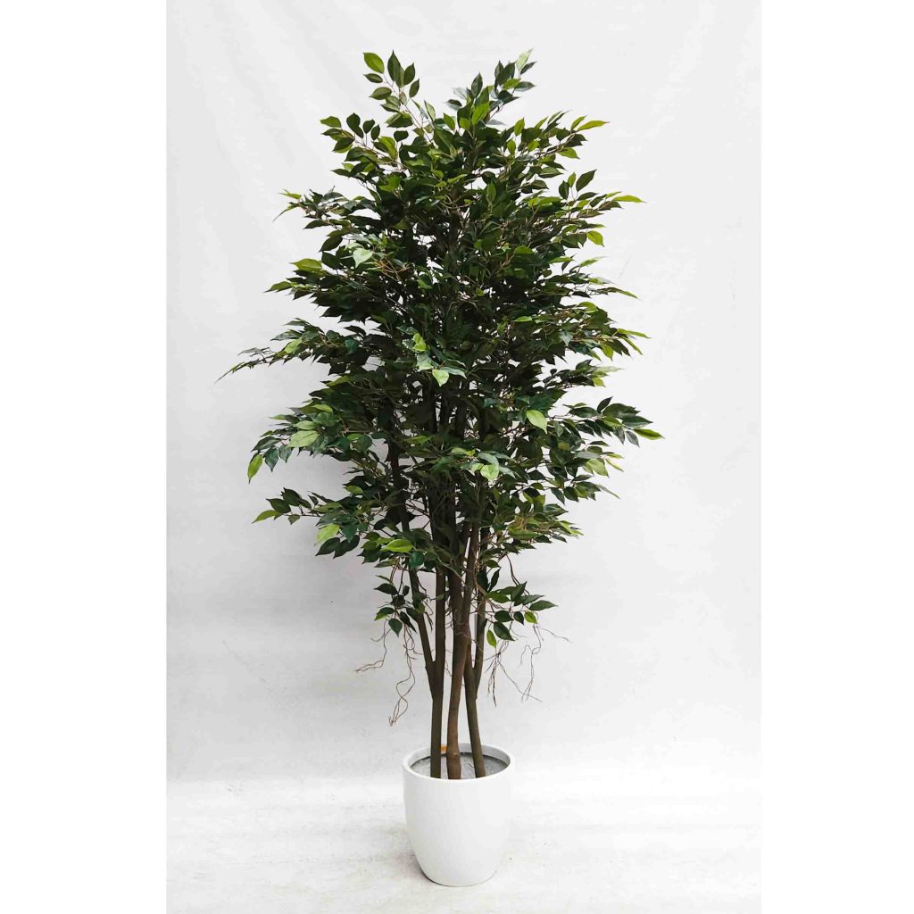 Artificial Mini Ficus Tree 220cm with Fibreglass Pot White