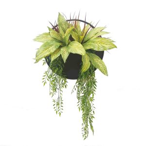 Double Musa Bush Wall Planter
