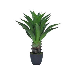 Agave 90cm UV Stabilised