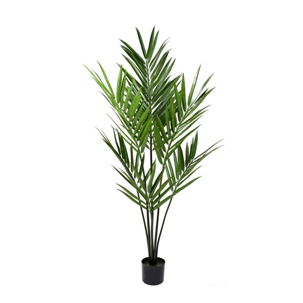 Kentia Palm UV Stabilised 1.8m