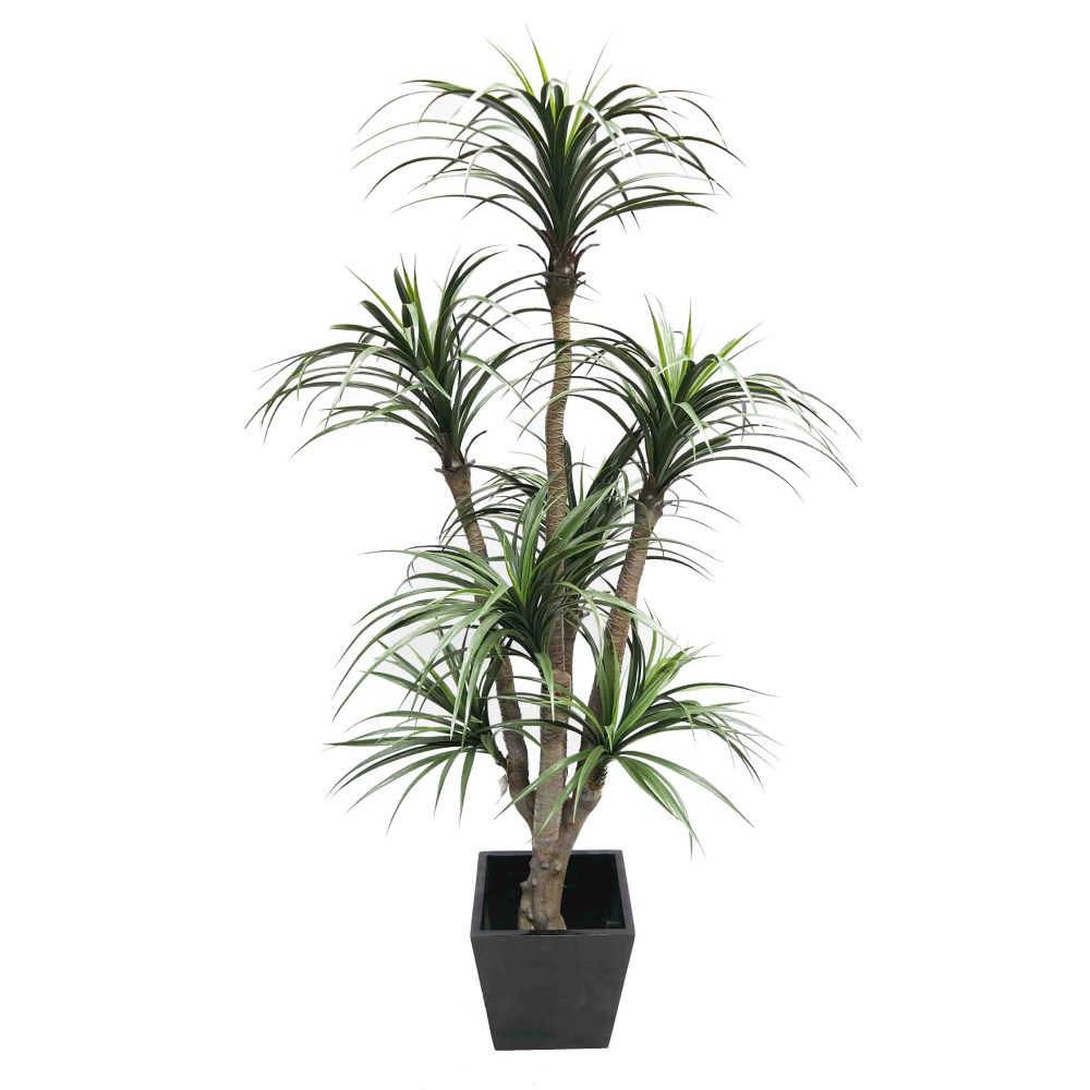 Giant Yucca Tree 2m UV Stabilised with Decorative Fiberglass Pot