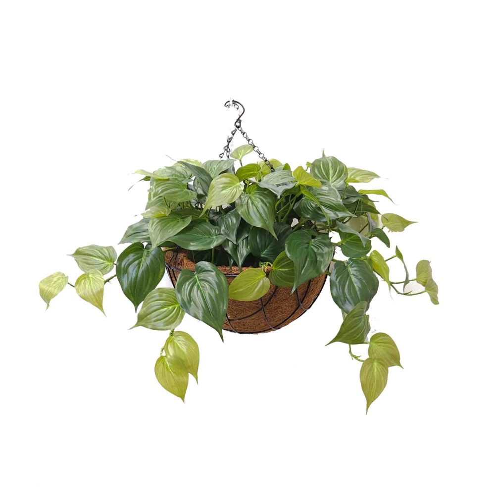 Double Philodendron Vine Real Touch Leaves UV Stabilised 48cm in Hanging Basket