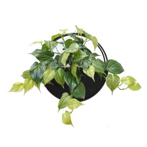 Philodendron Vine Wall Planter UV Stabilised