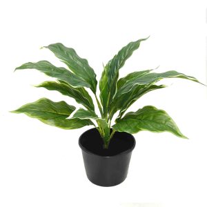 Variegated Hosta Plant 40cm with Real Touch Leaves UV Stabilised Potted