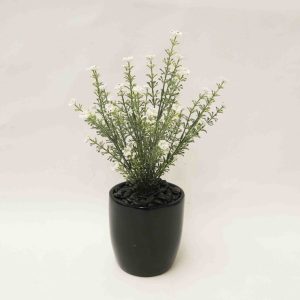 Baby’s Breath Bush with White Flowers 35cm Complete in Decorative Fiberglass Pot (Copy)