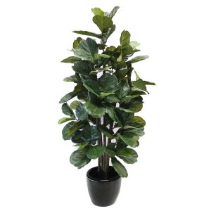 Fiddle Lyrata Tree 210cm with Decorative Fiberglass Pot