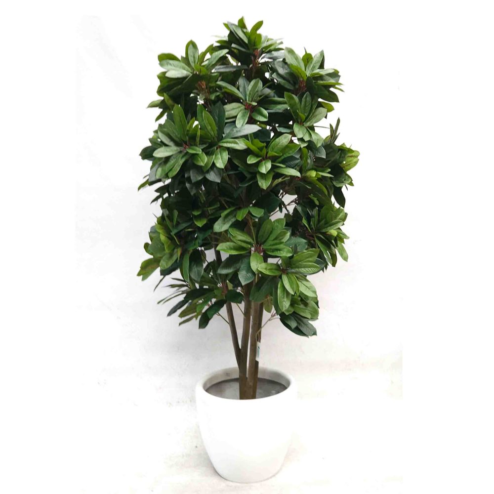 Artificial Lady Schefflera Tree 180cm with White Fiberglass Pot