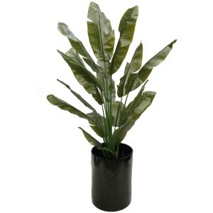 Travellers Palm Real Touch Leaves 180cm with Black Fiberglass Pot