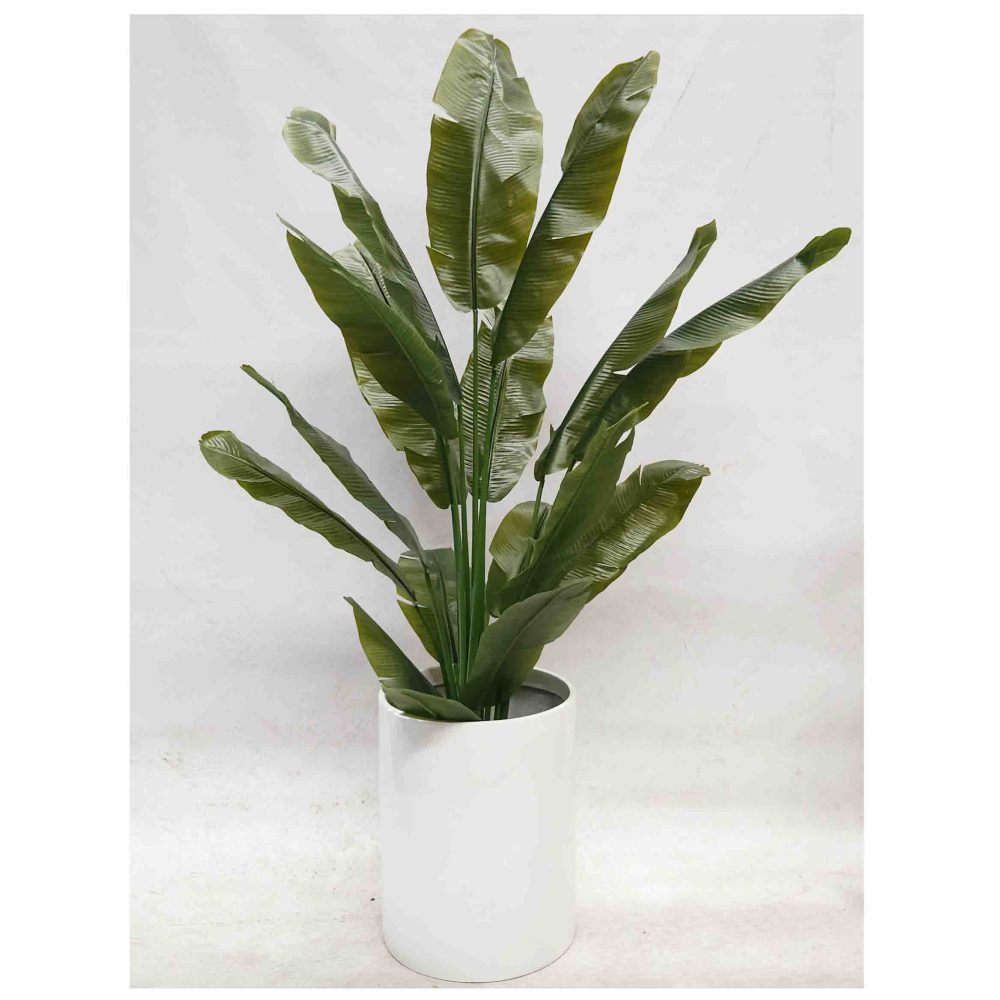 Travellers Palm Real Touch Leaves 180cm with White Fiberglass Pot