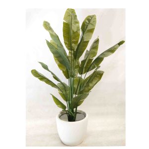 Travellers Palm Real Touch Leaves 180cm with White Decorative Fiberglass Pot