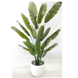 Travellers Palm Real Touch Leaves 210cm with White Decorative Fiberglass Pot