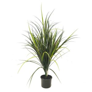 Grass Bush 80cm Potted
