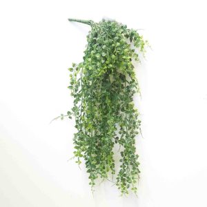 Maiden Vine 70cm UV Stabilised