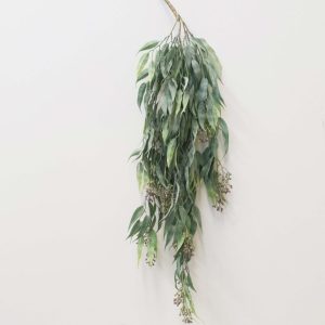 Eucalyptus Vine Trailing Seeded 89cm