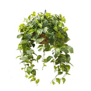 Double Pothos Vine Real Touch Leaves 88cm Hanging Basket