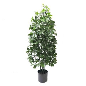 Pittosporum Tree 1.2m UV Stabilised