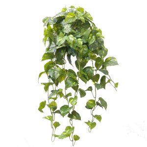 Pothos Vine Real Touch Leaves 88cm