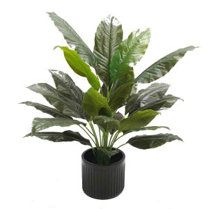 Spathiphylum Plant with Real Touch Leaves 1.1m with Fibreglass Pot