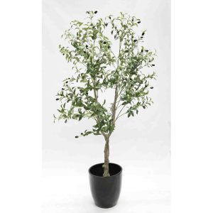 Olive Tree 1.5m with Decorative Black Fibreglass Pot