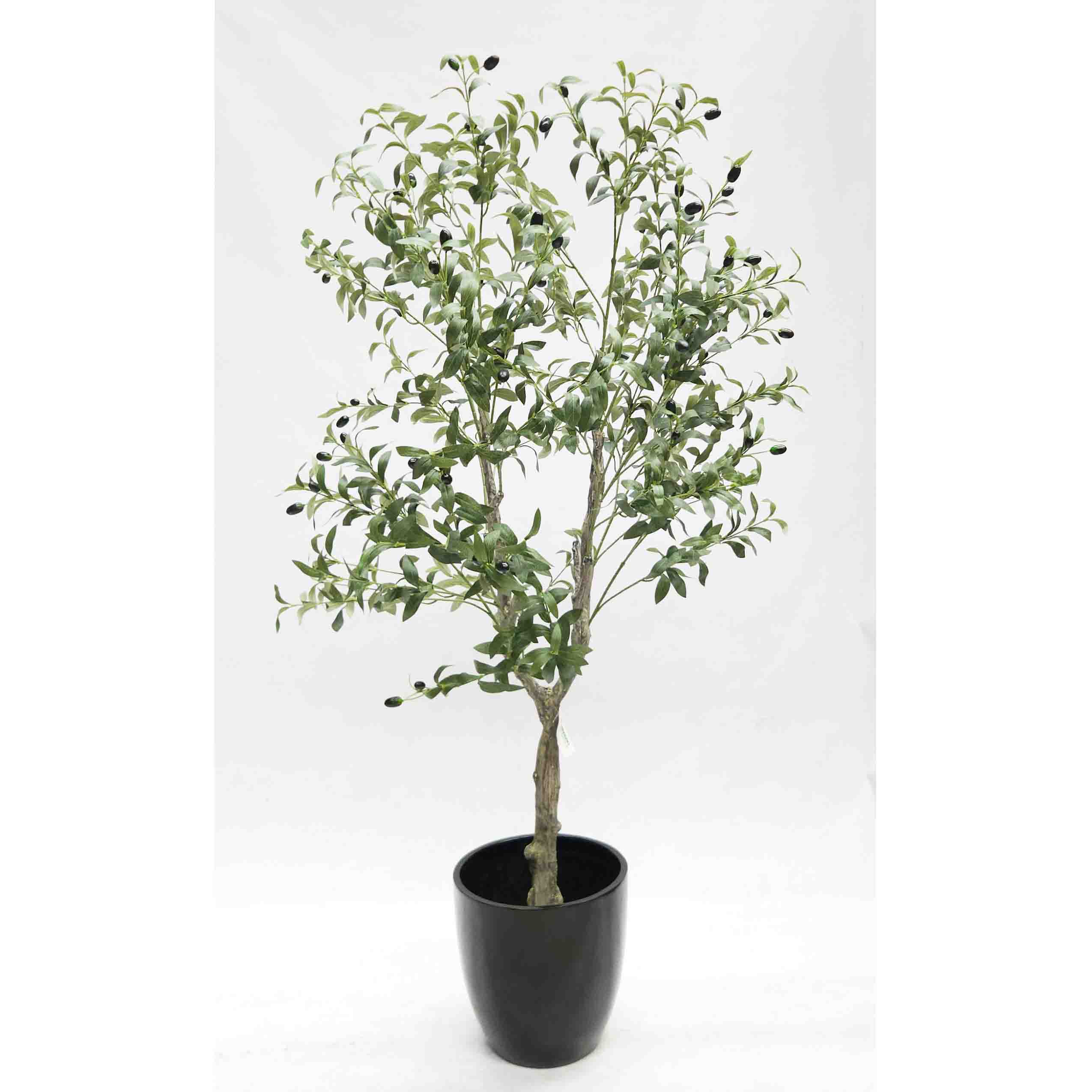 Olive Tree 1.5m with Decorative Black Fibreglass Pot