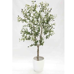 Olive Tree 1.5m with Decorative White Fibreglass Pot