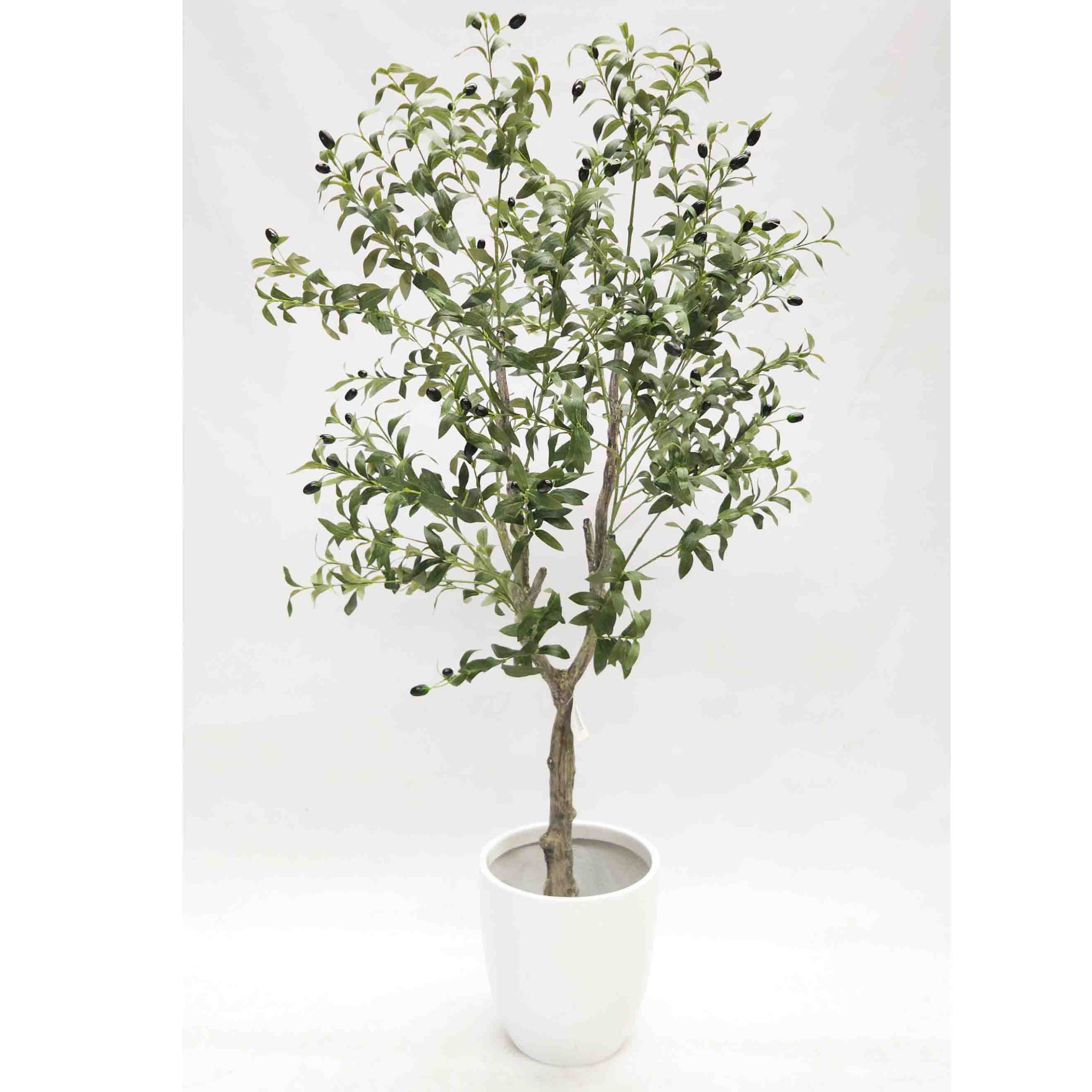 Olive Tree 1.5m with Decorative White Fibreglass Pot