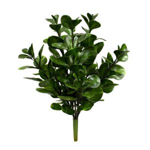 Jade Plant 45cm UV Stabilised