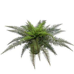 Leather Fern 58cm UV Stabilised