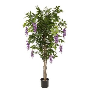 Wisteria Tree 1.5m with Lilac Flowers
