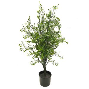 Angel Vine Plant 80cm UV Stabilised Potted