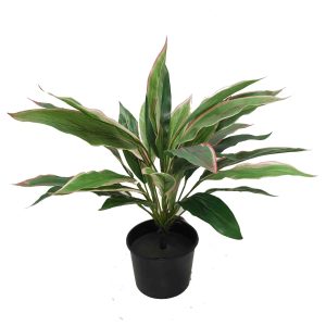 Deluxe Cordyline Bush 43cm Real Touch UV Stabilised Potted