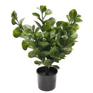 Jade Plant 45cm UV Stabilised Potted