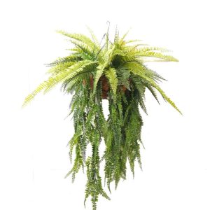 Fern Mix Basket 1m UV Stabilised